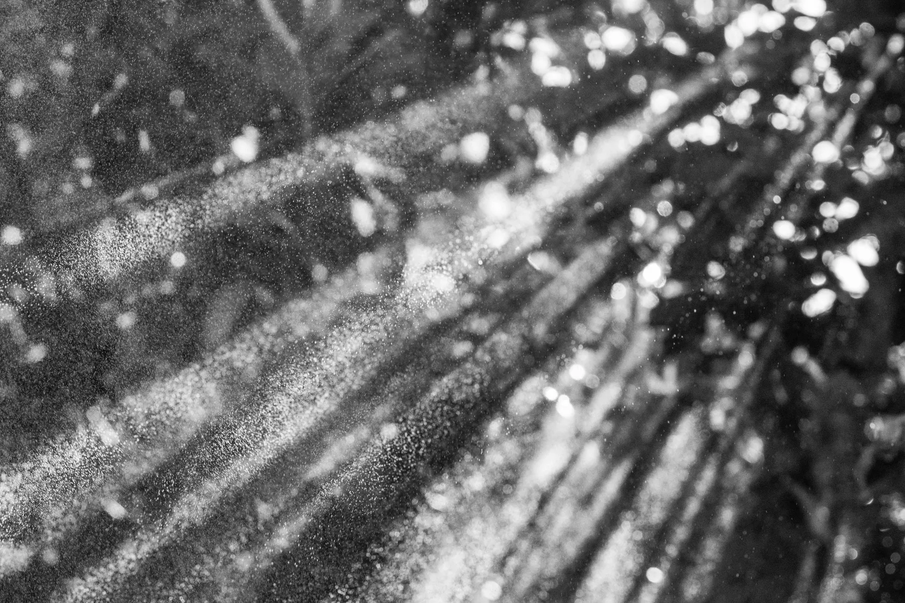 Dust in sunbeams. Lucretius asked his reader to watch the motes jostling in a beam of light across a dark room, and to see in them the restless motion of atoms too small to see (Book II, 114–124). Nearly nineteen centuries later, Brown saw the same restlessness under a microscope. Photograph by ha…