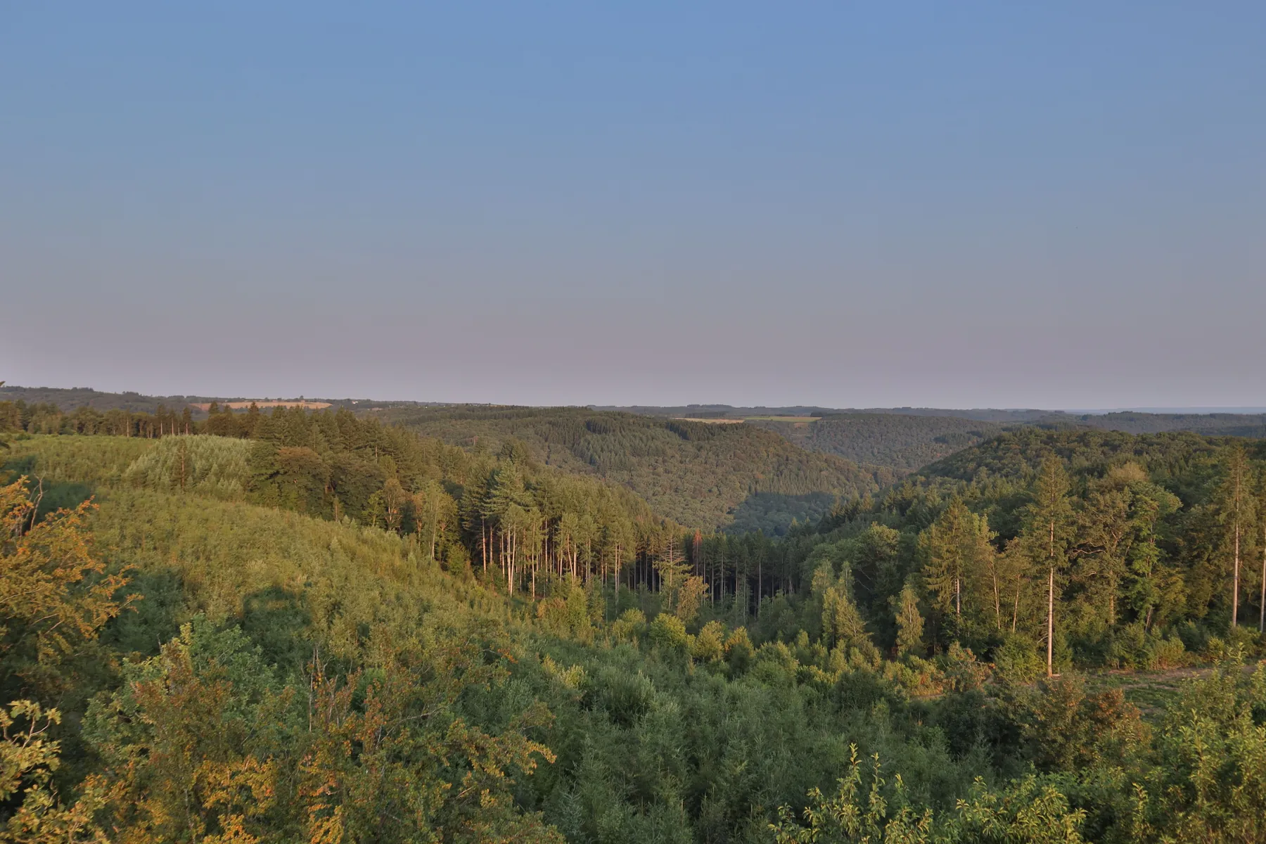 The Ardennes near Bouillon, Belgium. French planners judged these wooded hills impassable for armour; in May 1940 German tanks came through them and crossed the Meuse at nearby Sedan. Photograph by El Capra, Pexels.