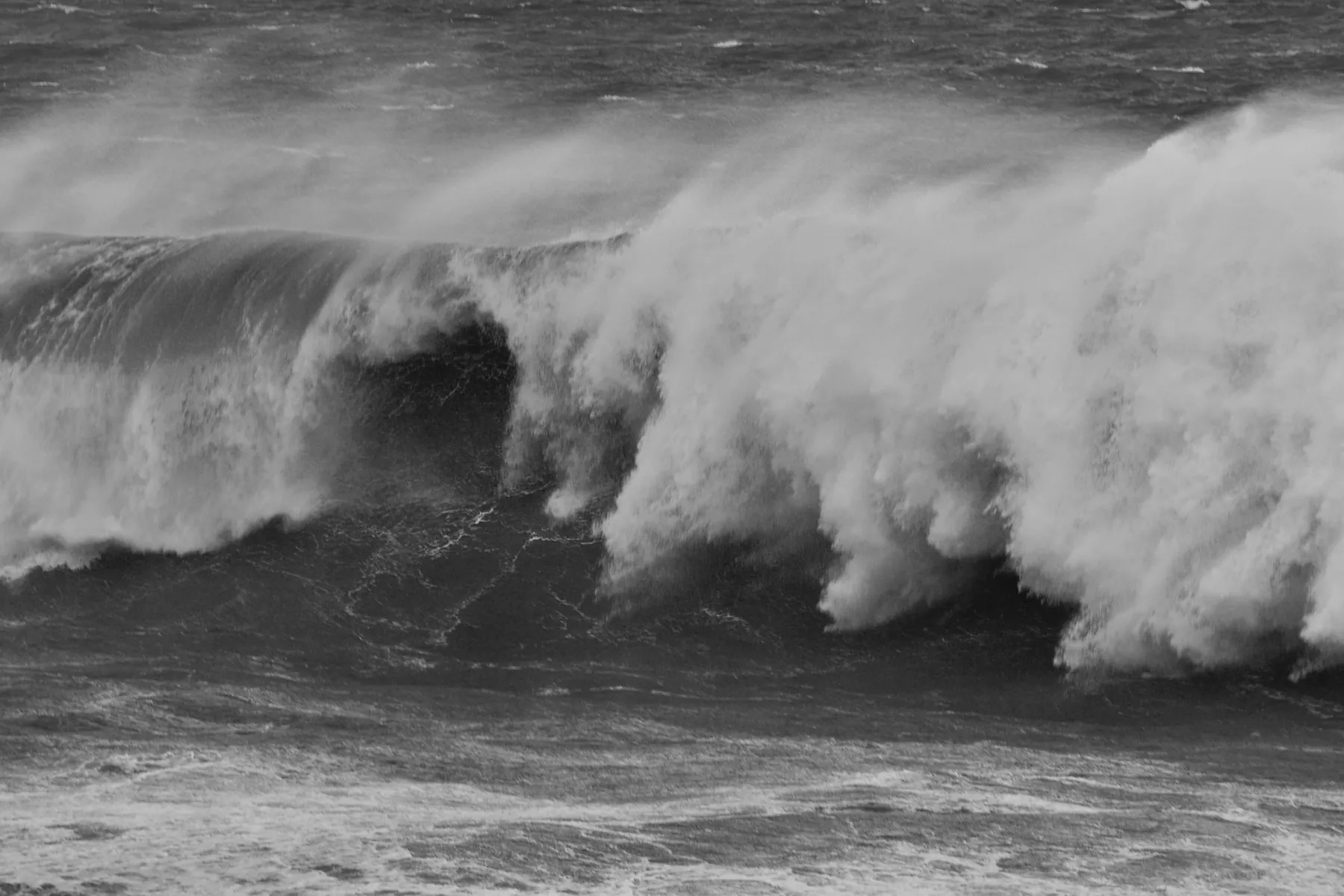 A wave breaking. Photograph: Chen Te, Pexels.
