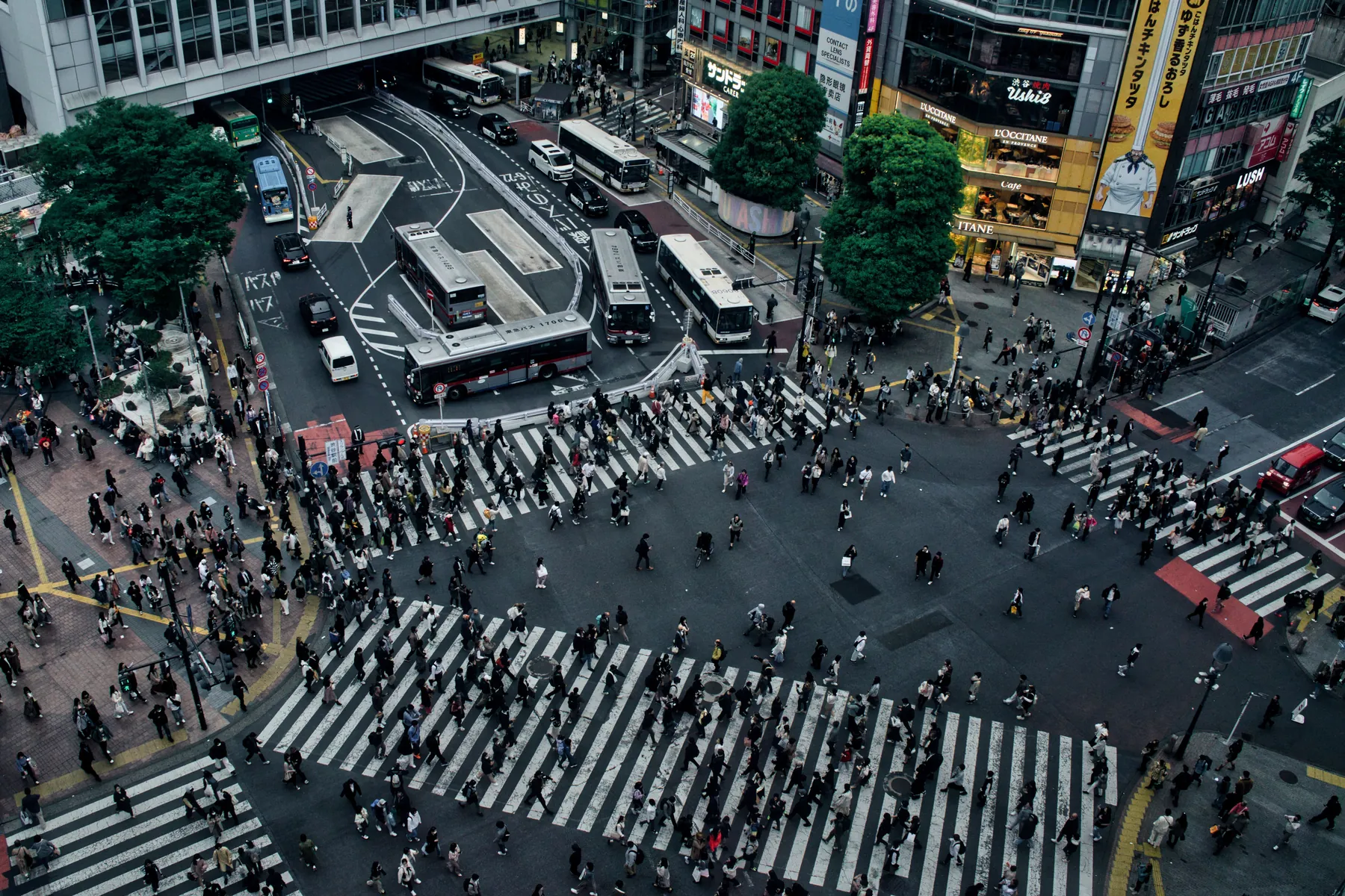 Shibuya Crossing in Tokyo. Every pedestrian picks a path against the crowd, and the crowd is made of pedestrians picking paths. Photograph by Travel with Lenses, Pexels.