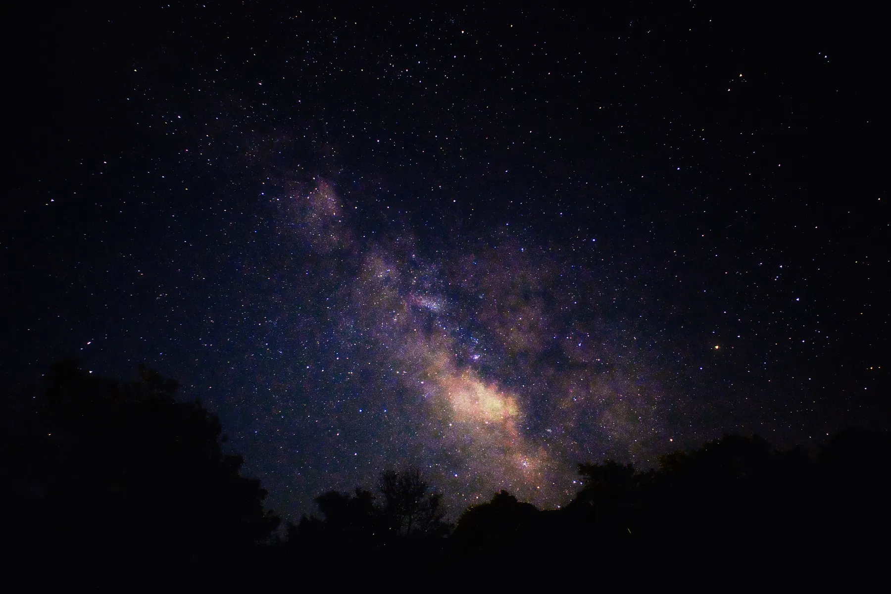 The Milky Way over a dark line of trees. Photograph: shota legashvili, Pexels.