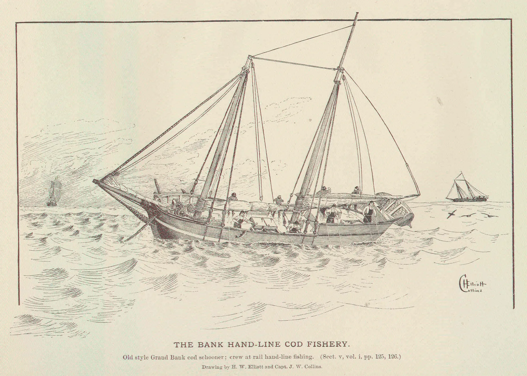 "The bank hand-line cod fishery": an old-style Grand Bank cod schooner, its crew fishing with hand lines at the rail. Drawing by H. W. Elliott and Capt. J. W. Collins for G. B. Goode, The Fisheries and Fishery Industries of the United States (1887). Public domain, via Wikimedia Commons.