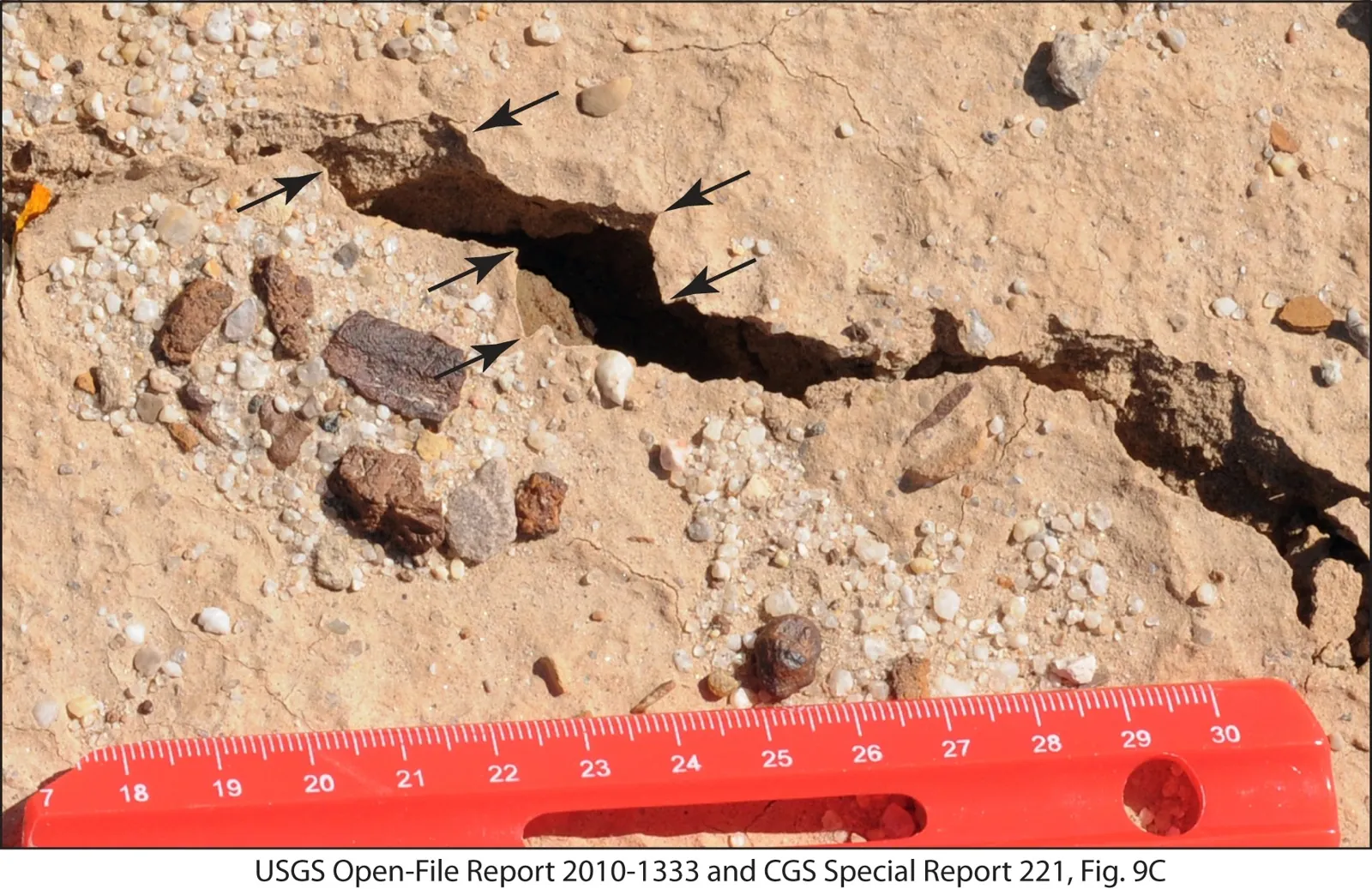 Surface fractures on the Superstition Hills Fault triggered by the 2010 El Mayor–Cucapah earthquake. Arrows identify corresponding points across the cracks; the ruler provides a centimetre scale.