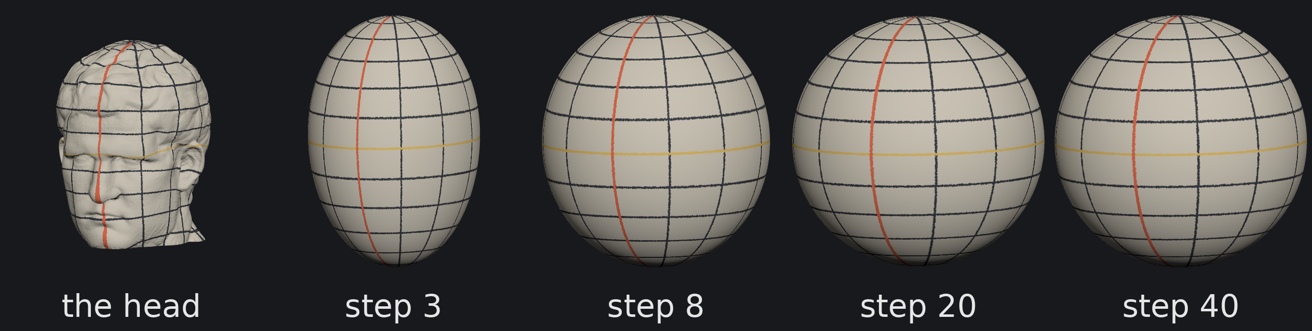 The conformalized mean-curvature flow carrying the head onto the sphere, after 0, 3, 8, 20 and 40 steps, the last one a round sphere. Every stage is painted with the latitude and longitude it ends with: lines every 15° of latitude and 30° of longitude, the meridian down the face (longitude 0) in…
