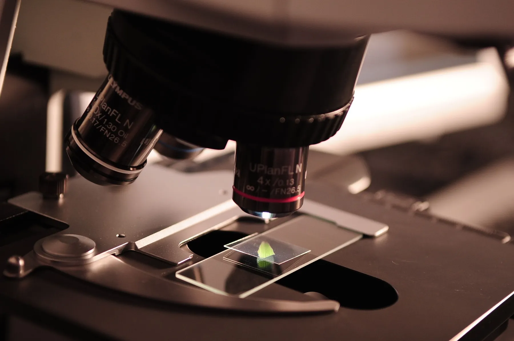 The objectives of a research microscope. An optical trap is built around one: a laser focused through the objective holds the bead, and an interferometer follows where it goes. Photograph: Pixabay, Pexels.