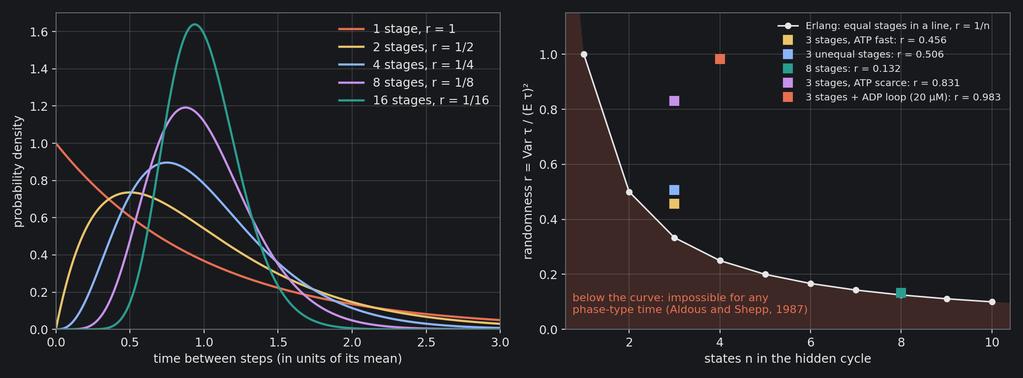 Left: the Erlang distribution of the time between steps for 1, 2, 4, 8 and 16 equal stages, in units of its mean: the more stages, the more punctual the clock, with r = 1/n. Right: randomness against the number of states. The shaded region below the curve r = 1/n is impossible for any phase-type…