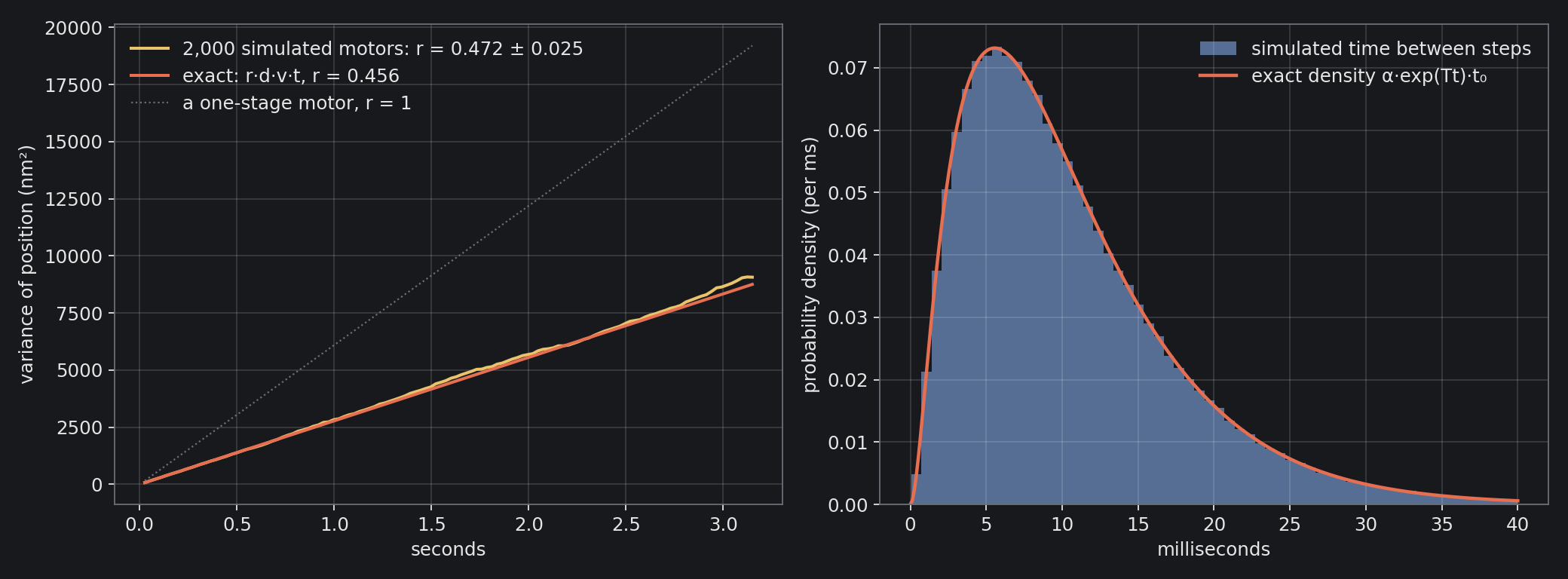 Left: the variance of the positions of 2,000 simulated motors against time (amber), the exact line r·d·v·t (coral), and a motor with a single stage per step, r = 1 (dotted). Right: the simulated times between steps against the exact density from EQ 2.