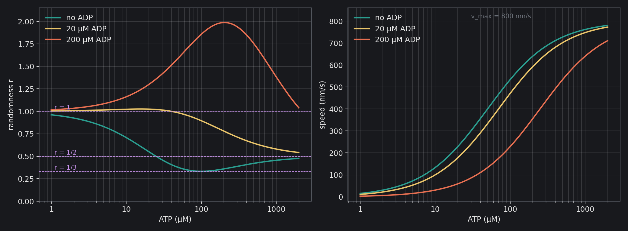 Left: the randomness r against the ATP concentration, with no ADP, 20 µM and 200 µM of ADP; the dashed lines are 1, 1/2 and 1/3. Without ADP, r dips to 1/3 at 100 µM, where the three stages are equal; with ADP the loop pushes it above 1. Right: the speed, EQ 7: ADP shifts the curve to the right and…