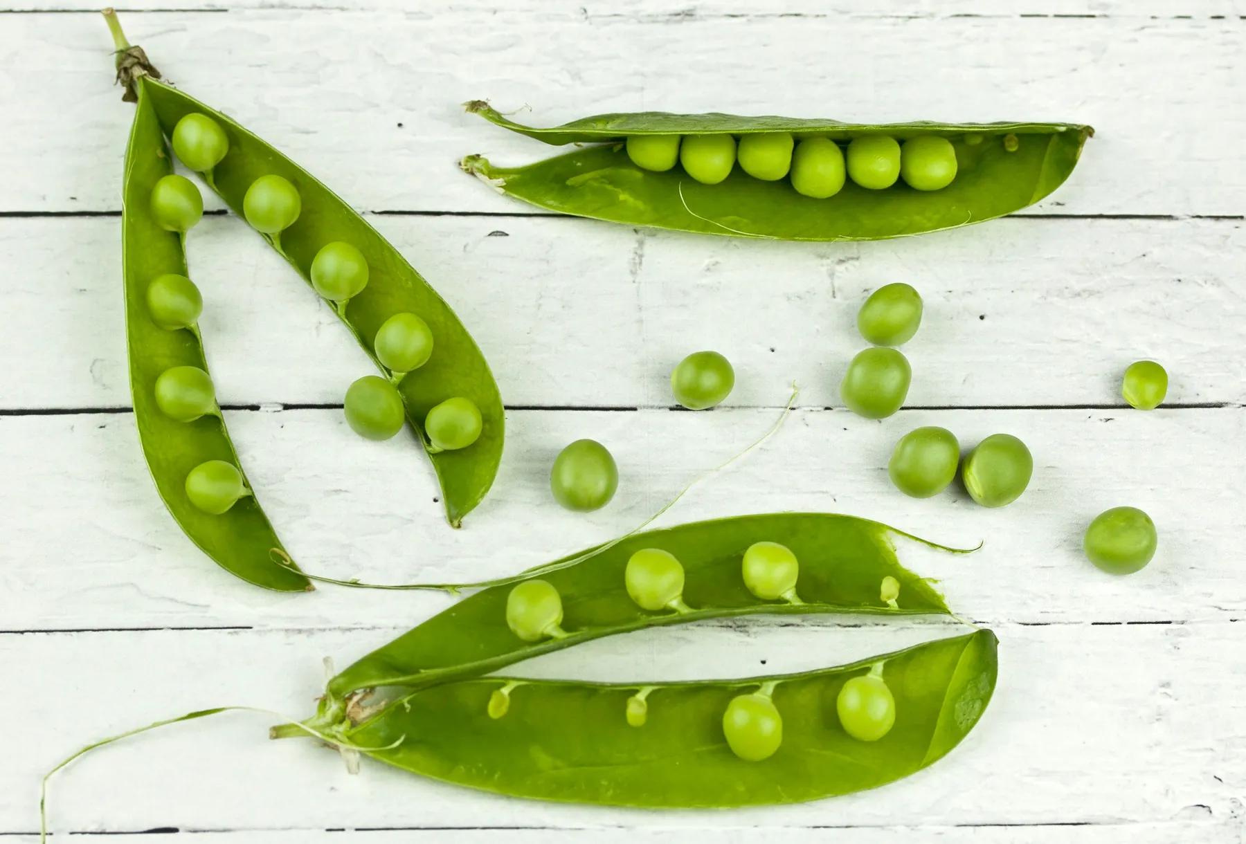 Peas in the pod. Mendel counted them by the thousand; Fisher showed that his counts sat closer to his ratios than chance allows. Photograph by R Khalil, Pexels.