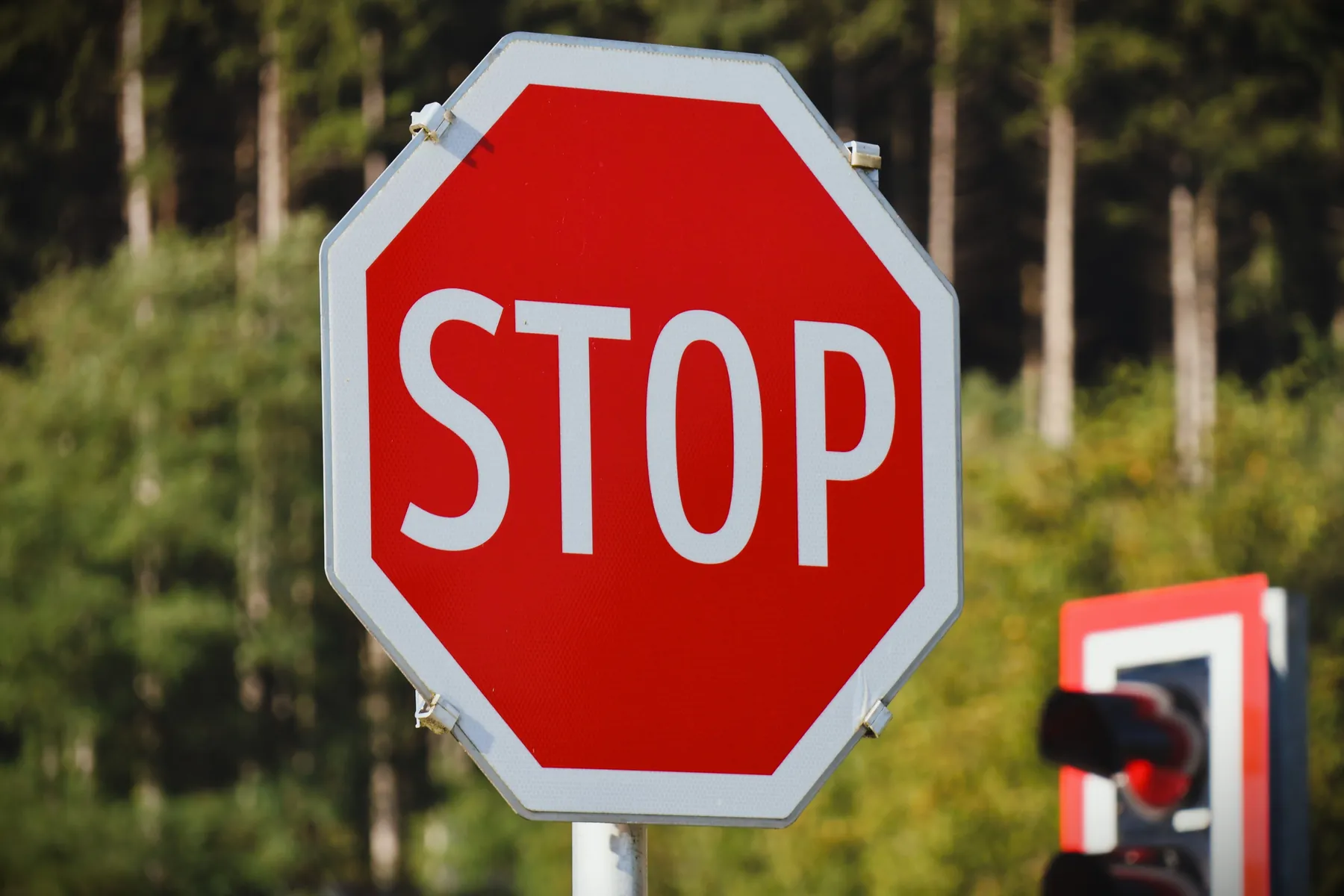 A stop sign against green trees. Photograph: Tobias Scheuer, Pexels.